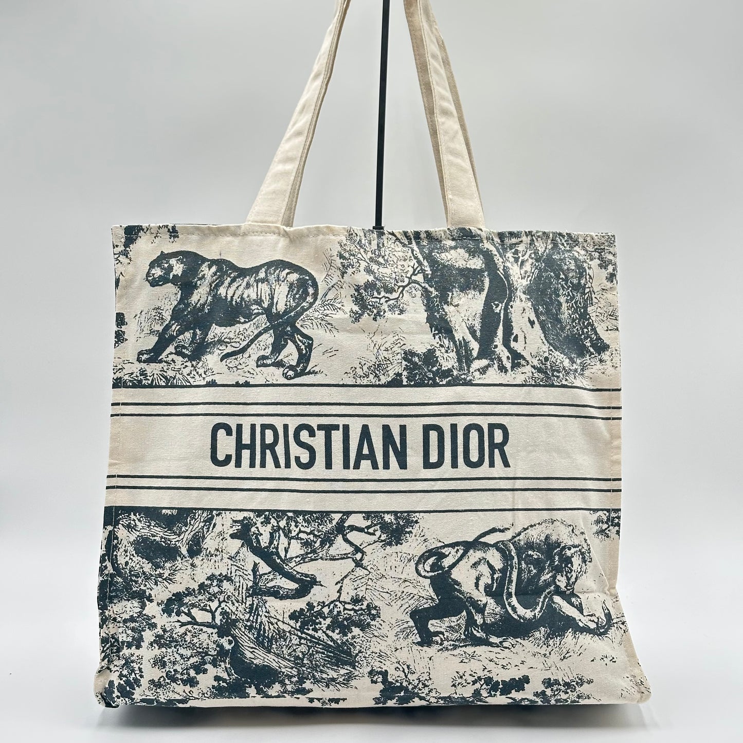 DIOR Riviera Large Canvas Shopping Tote