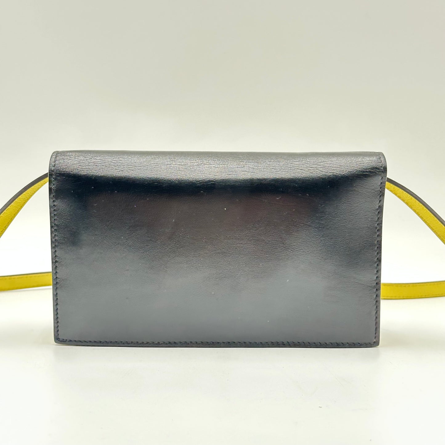 Authentic GUCCI Wallet Belt Bag Crossbody
