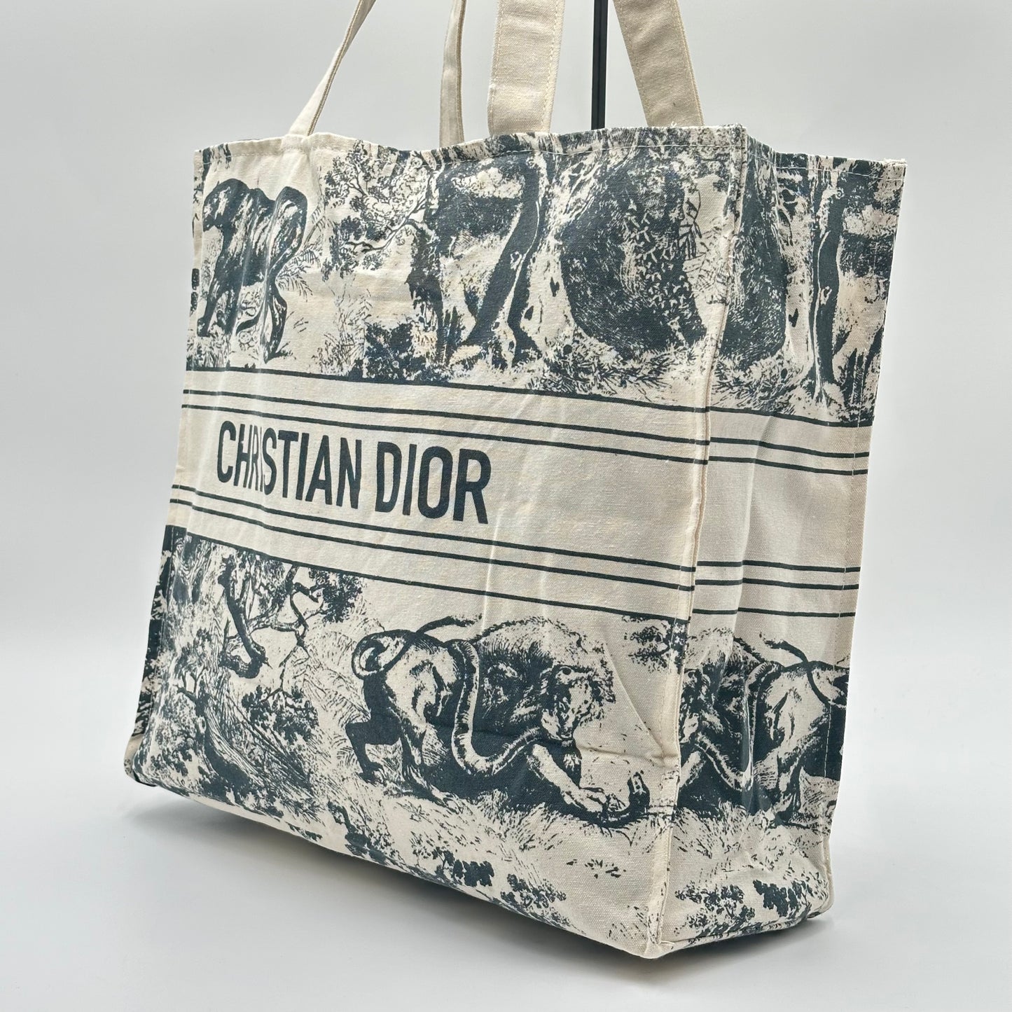 DIOR Riviera Large Canvas Shopping Tote