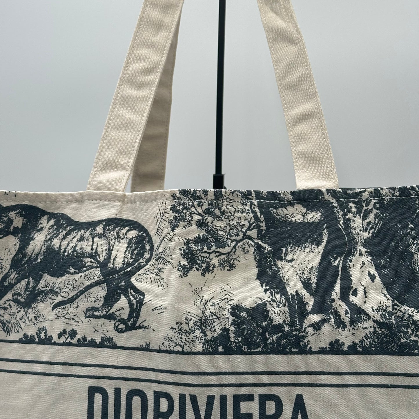 DIOR Riviera Large Canvas Shopping Tote