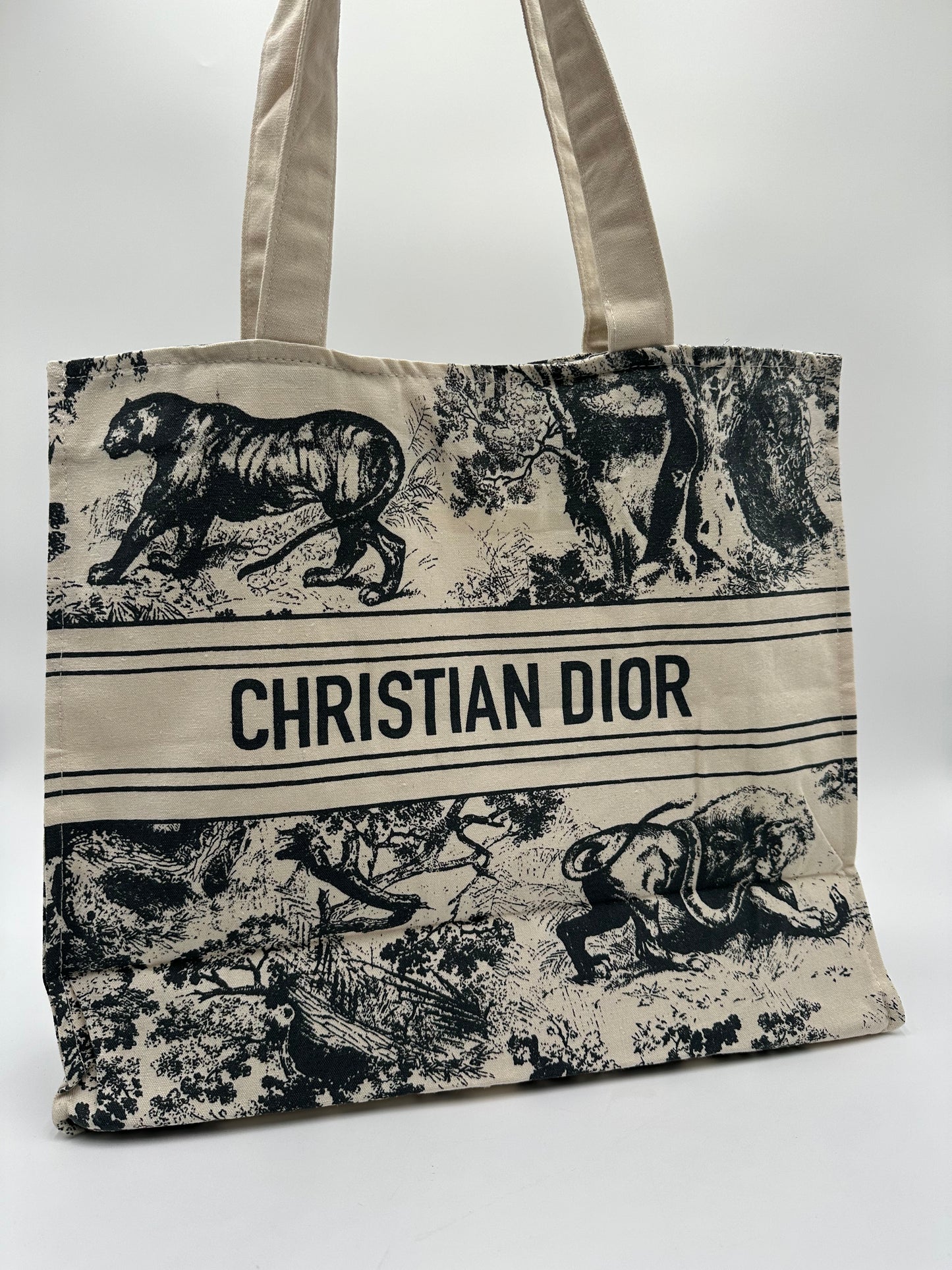 DIOR Riviera Large Canvas Shopping Tote